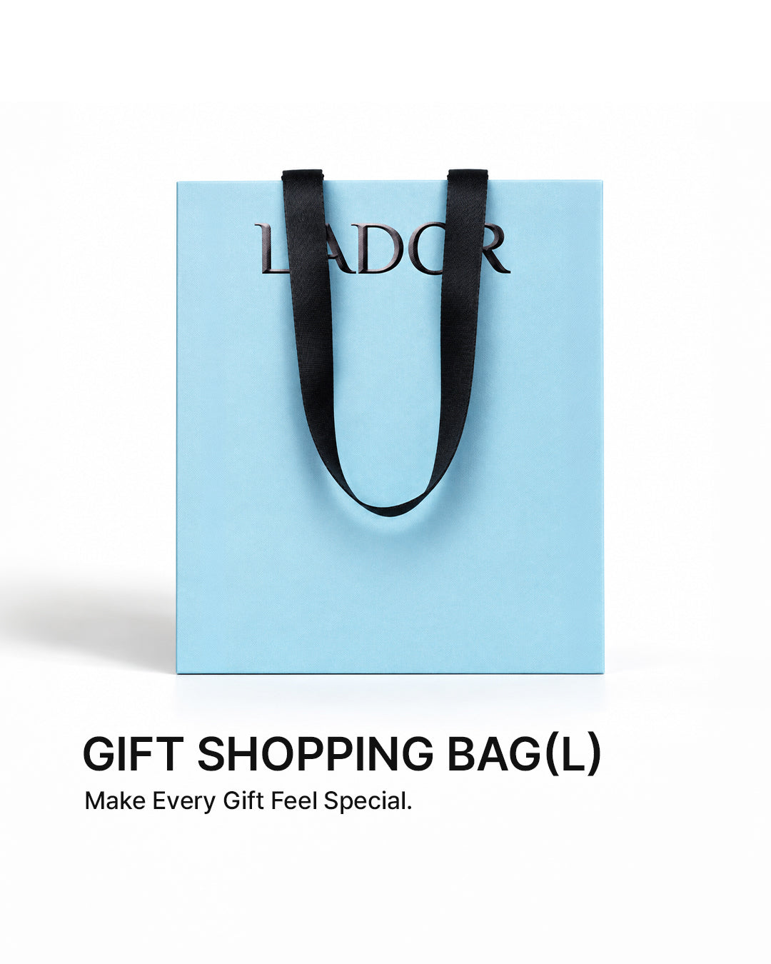 Gift Shopping Bag(L)