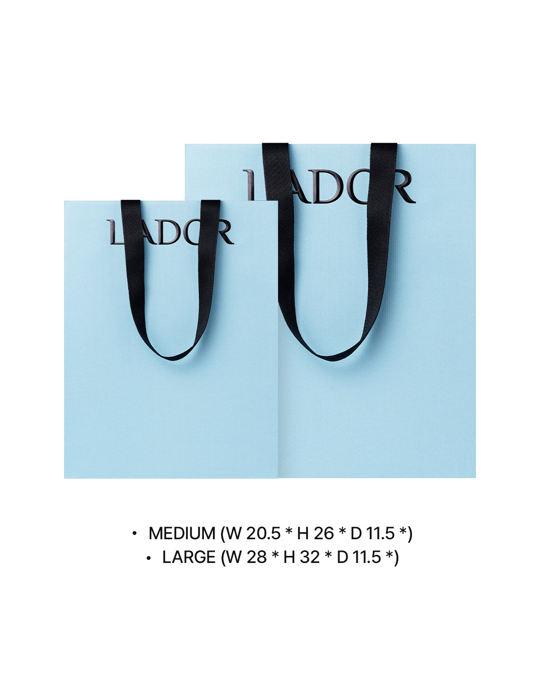 Gift Shopping Bag(L)