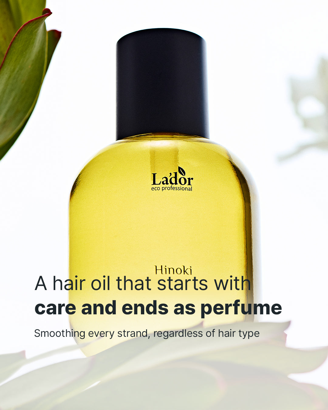 Perfumed Hair Oil [Hinoki] 80ml – LADOR