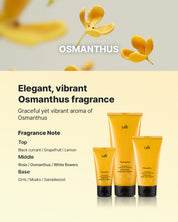Perfumed Hair Treatment [Osmanthus] 160ml
