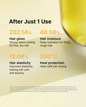 Perfumed Hair Oil Discovery Set (4 Scents × 10ml Each)